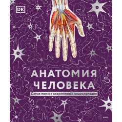 Анатомия человека. Самая полная современная энциклопедия