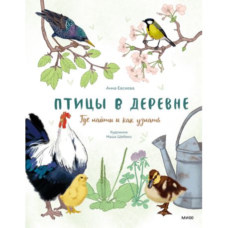 Птицы в городе. Где найти и как узнать. Анна Васильева